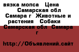 вязка мопса › Цена ­ 5 000 - Самарская обл., Самара г. Животные и растения » Собаки   . Самарская обл.,Самара г.